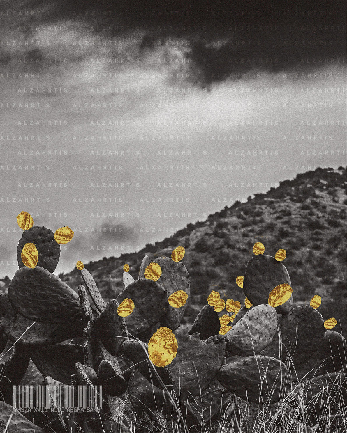 Collage of cacti with gold coins on a black and white landscape