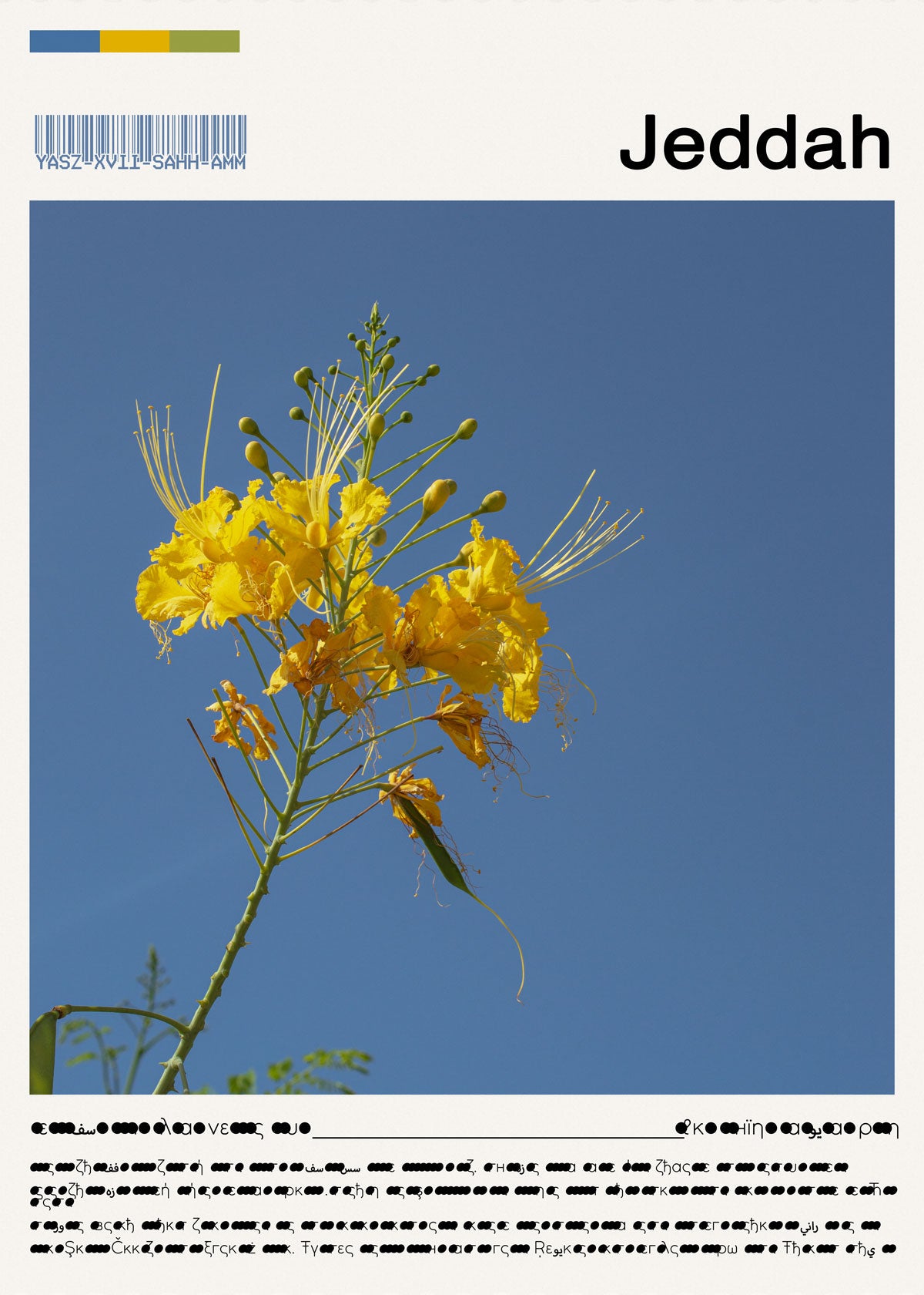 Yellow flower against a blue sky with 'Jeddah' text