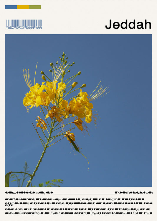 Yellow flower against a blue sky with 'Jeddah' text